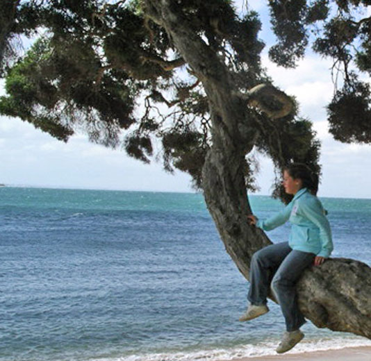 Boy in a big tree branch looking at the ocean