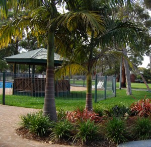 Gazzebo at the Palm Pool