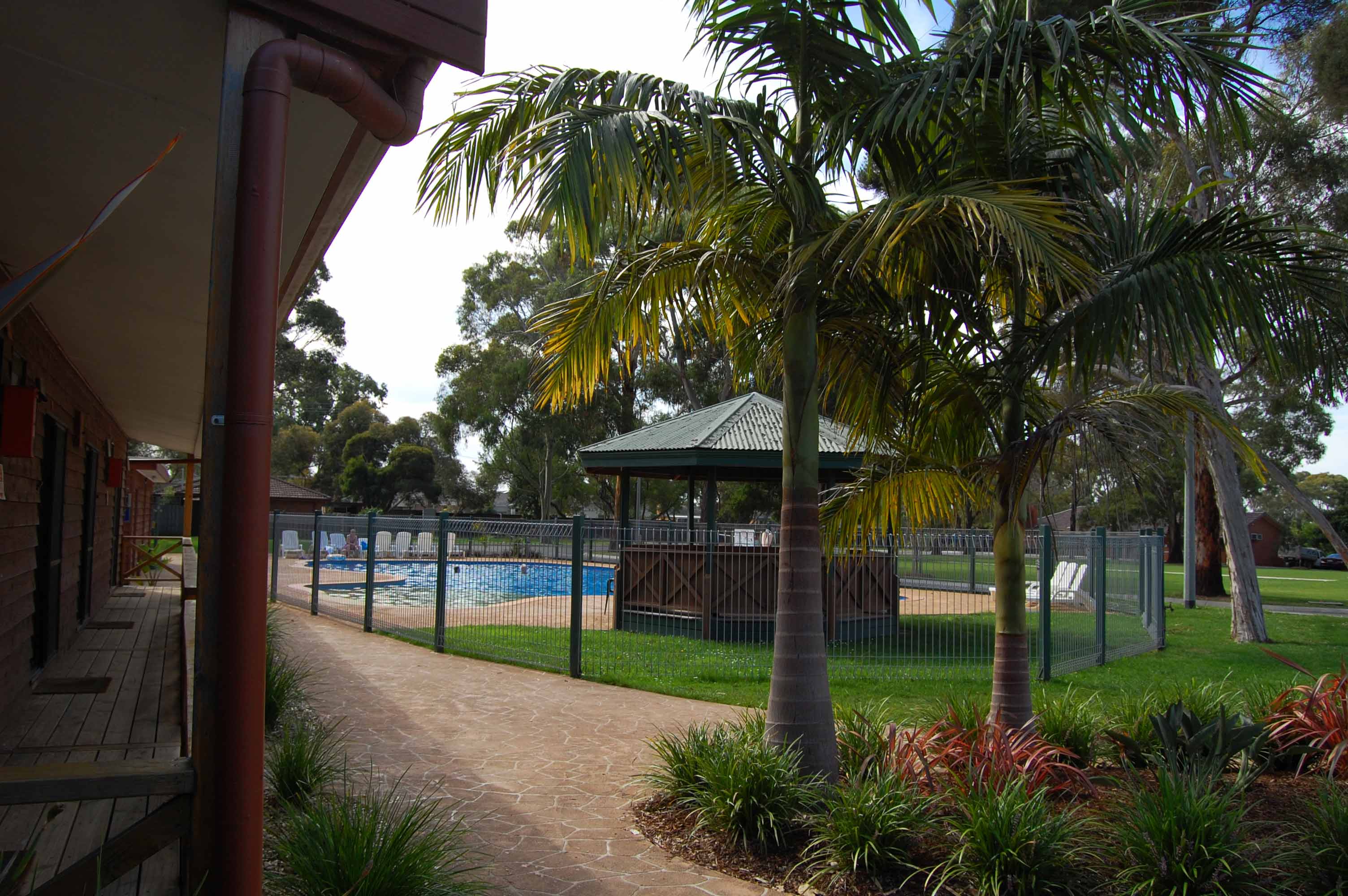 Image of the Palm Pool and surrounds